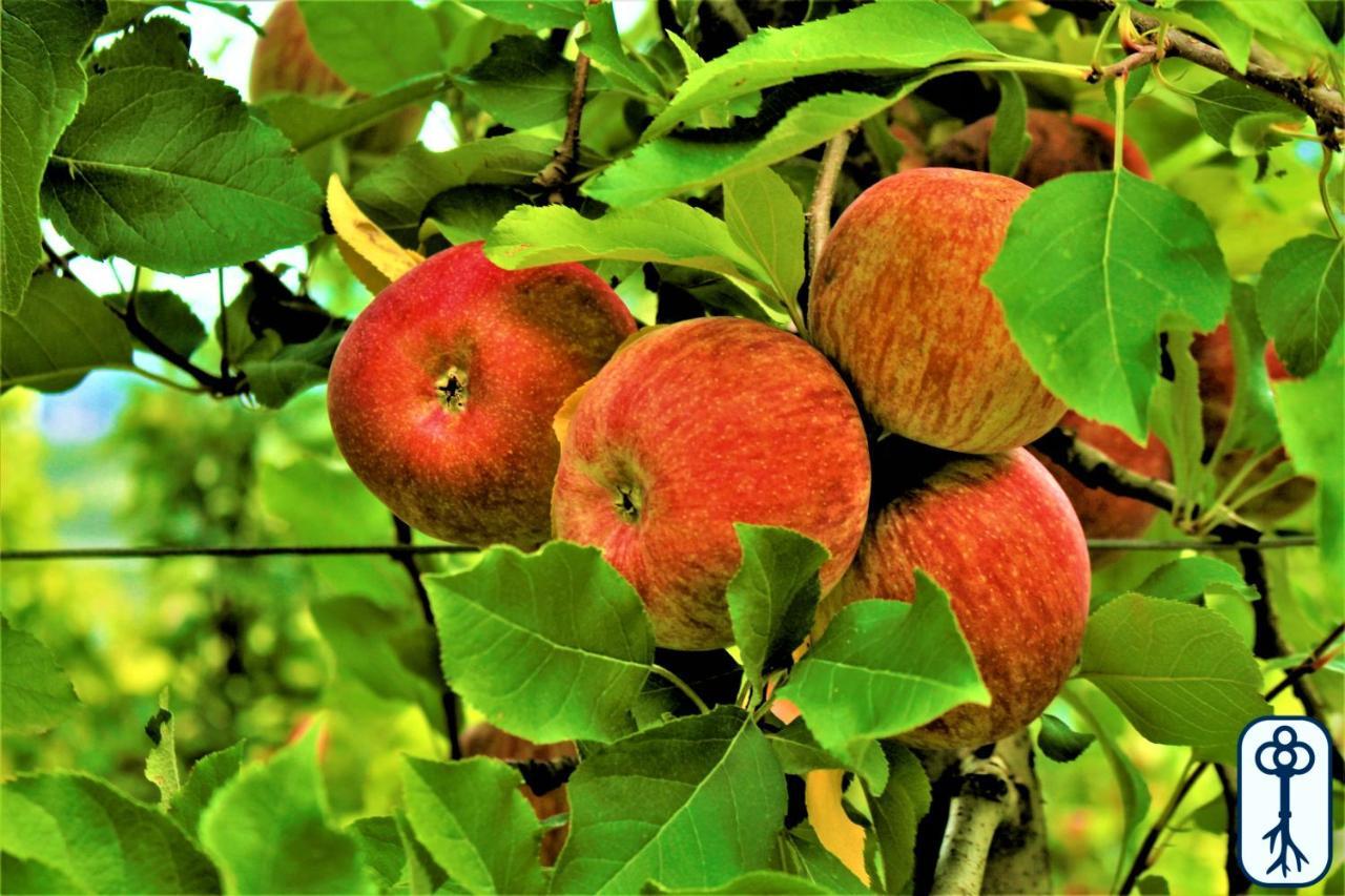 Holiday home Antico Eremo, Tra Natura E Tradizione *