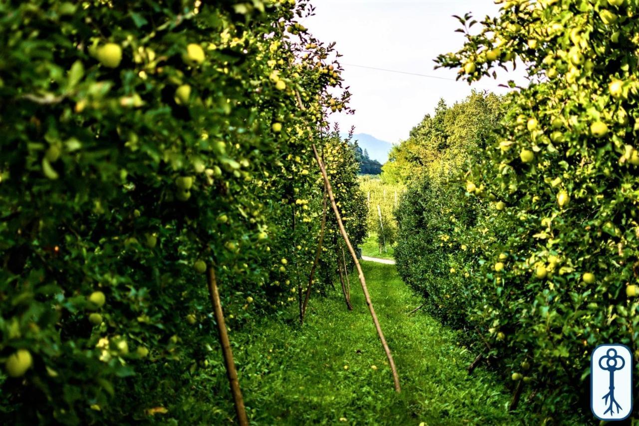 Antico Eremo, Tra Natura E Tradizione *