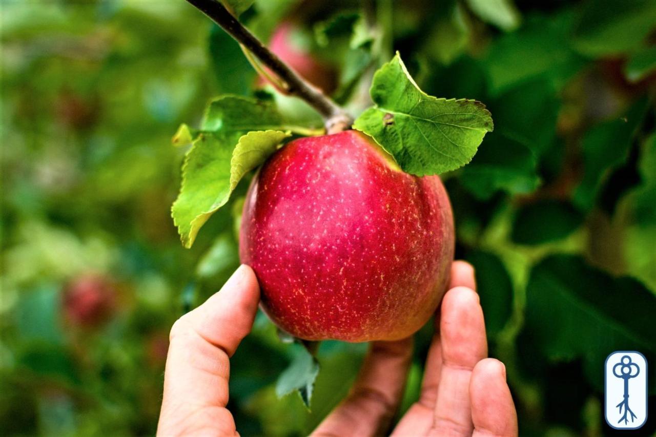 Antico Eremo, Tra Natura E Tradizione * Campodenno